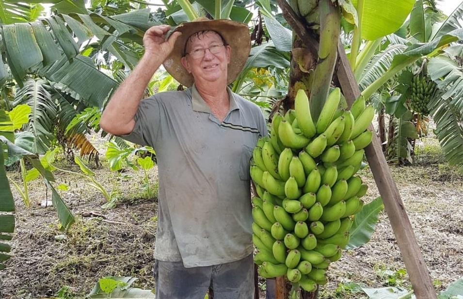 Produtor investe no cultivo de frutas orgânicas no município de Cláudia