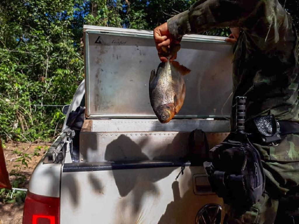 Sema apreende 29,3 kg de pescado e armas no Rio Itiquira