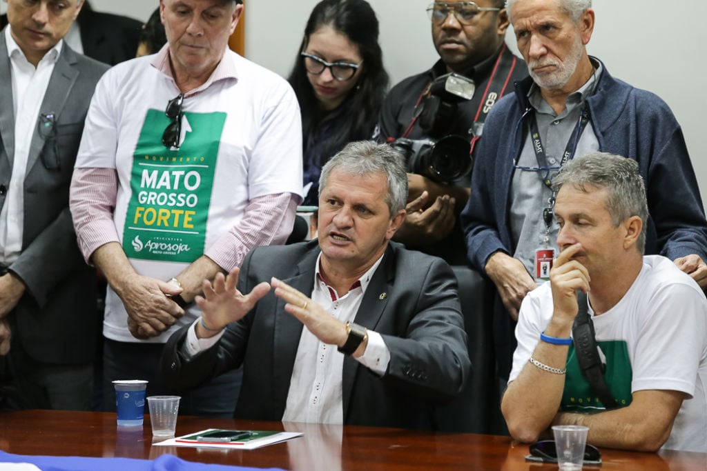 Projetos de Dilmar Dal Bosco ajustam leis para o setor de base florestal e para o feijão