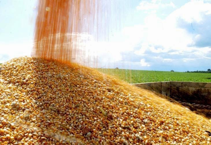 Mato Grosso segue como maior produtor de grãos do país