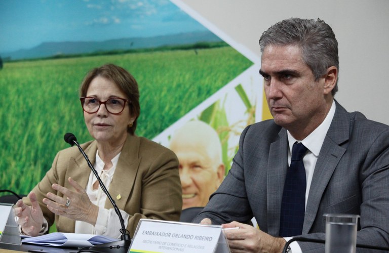 Acordo Mercosul-UE vai aumentar a competitividade da agricultura brasileira, diz ministra
