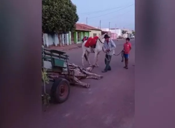 Carroceiro chuta cabeça de cavalo após animal cair exausto em MT