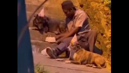 Morador de rua comemora aniversário de cão e divide bolo com seus pets