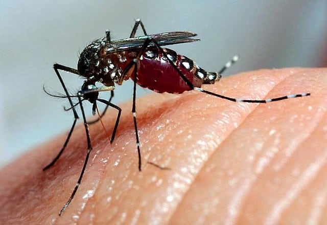 Mato Grosso registra aumento nos casos de dengue e ultrapassa a marca de 3 mil casos em 2024