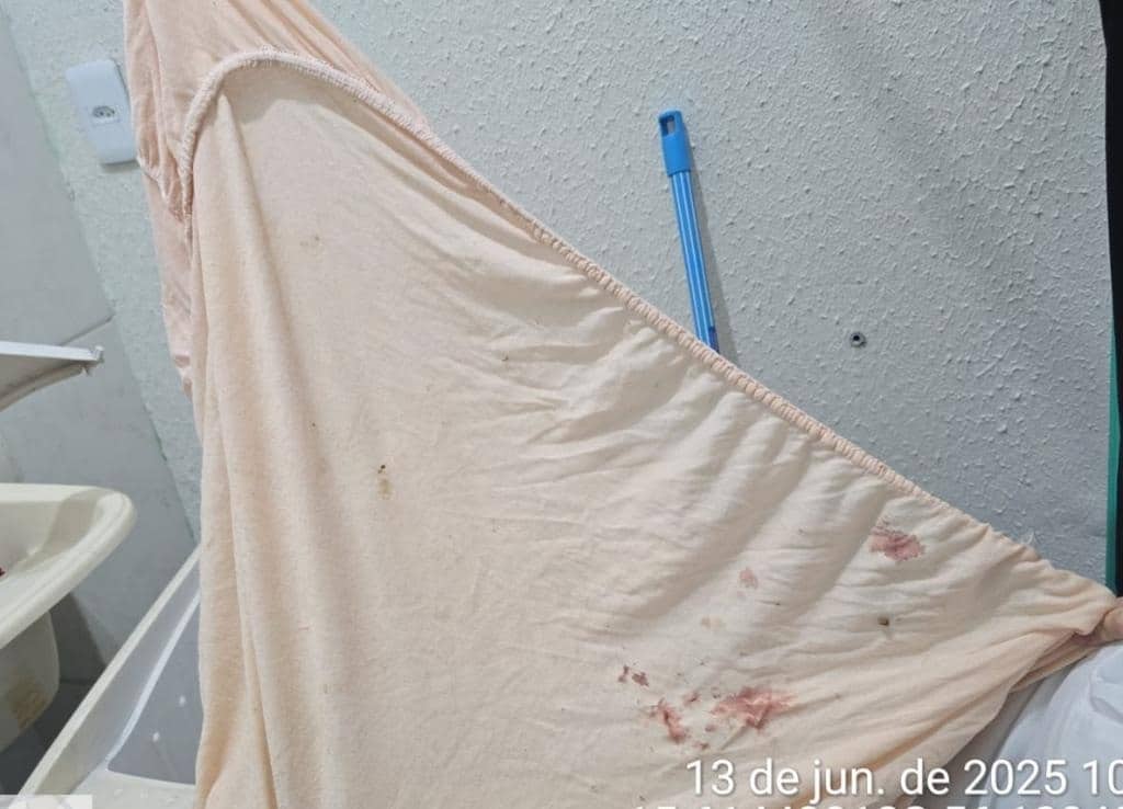 Polícia Civil prende suspeita de adotar animais e cometer maus-tratos