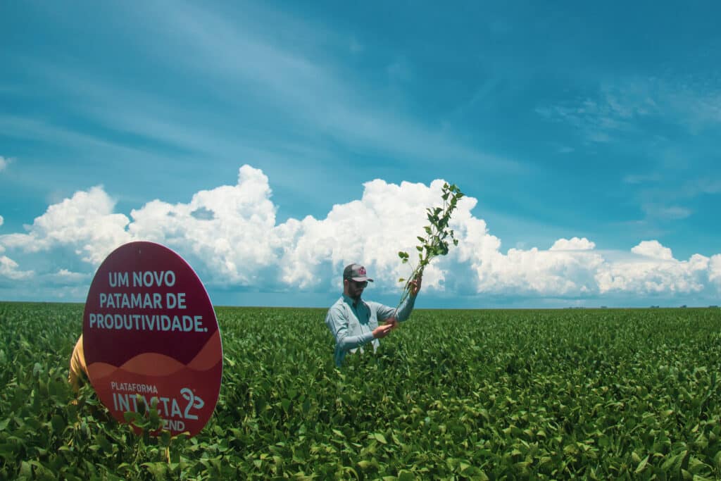 Safra de Soja 25/26: Expectativa de Alta Produtividade e a Força