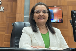 Marildes fez requerimento com pedido de informações