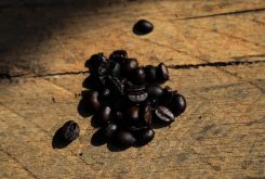 Os cafés 100% robusta são produzidos exclusivamente por agricultores familiares - Foto por: Christiano Antonucci/Secom-MT