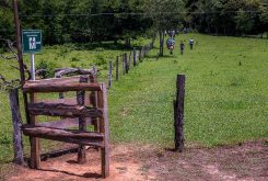 Turismo rural é uma alternativa de renda aos produtores familiares do Estado - Foto por: Secom-MT