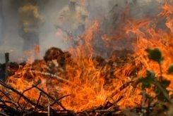 Entre janeiro e junho, Brasil registrou quase 36 mil focos de incêndio - Joédson Alves/ Agência Brasil