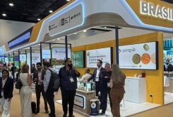 Os números refletem um trabalho articulado e um reposicionamento claro da imagem de Mato Grosso no exterior - Foto por: Divulgação