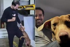 Cãozinho que abraçou Paulo Mathias é adotado pelo repórter — Foto: Reprodução/Instagram