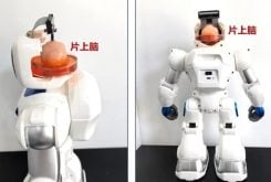 Pesquisadores chineses criaram robô controlado por células cerebrais humanas - Reprodução/Universidade de Tianjin (via South China Morning Post)