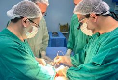 Captação foi realizada no Hospital Regional de Sinop
Crédito - Central Estadual de Transplantes